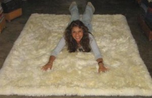 White baby alpaca fur rug with border