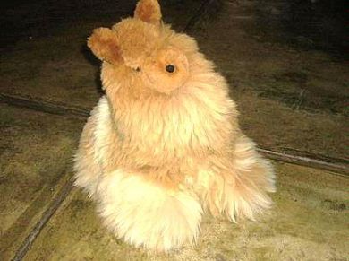 Lama Made Of Real Alpaca Fur, Cuddly Toy