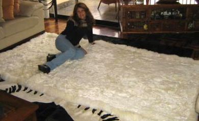 White baby alpaca fur rug from Peru